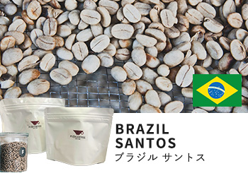 コーヒー　ブラジル　サントス生豆　5kg コーヒー ブラジル サントス生豆 5kg